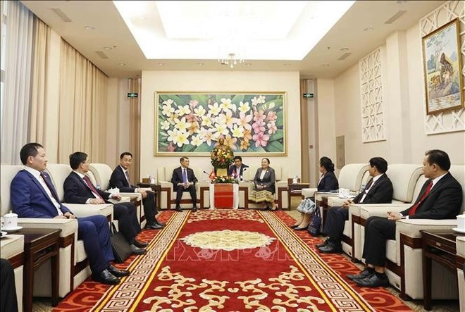 El jefe de la Comisión de Organización del Comité Central del Partido Comunista de Vietnam, Le Minh Hung, en una reunión con su homólogo laosiano, Sisay Leudetmounsone. (Foto: VNA)