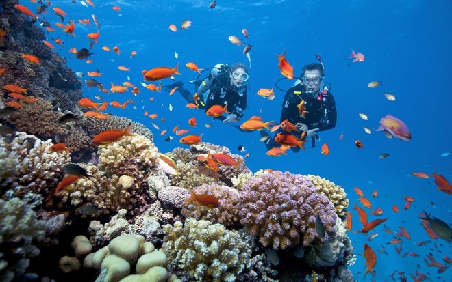 Buceo en Phu Quoc (Foto: Sun Group) Buceo en Phu Quoc (Foto: Sun Group)