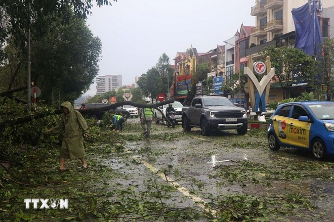 Muchos árboles caídos en la calle Le Duan, distrito de Thanh Vinh (Nghe An). (Foto: VNA) Muchos árboles caídos en la calle Le Duan, distrito de Thanh Vinh (Nghe An). (Foto: VNA)