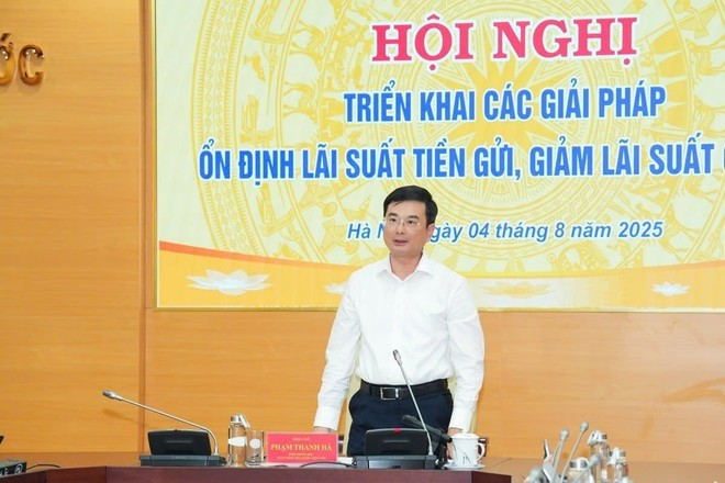 El vicegobernador Pham Thanh Ha habla en la Conferencia. (Foto: VNA) El vicegobernador Pham Thanh Ha habla en la Conferencia. (Foto: VNA)
