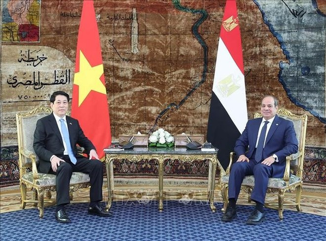 El presidente de Vietnam, Luong Cuong (izquierda), se reúne con su homólogo egipcio, Abdel Fattah El-Sisi (Foto: VNA) El presidente de Vietnam, Luong Cuong (izquierda), se reúne con su homólogo egipcio, Abdel Fattah El-Sisi (Foto: VNA)