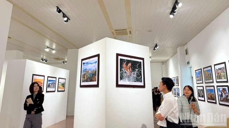 La exposición atrae a numerosos visitantes.