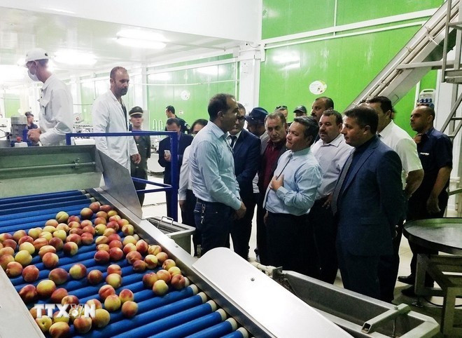 Una delegación de la Embajada de Vietnam en Argelia visitó una empresa local en la provincia de Médéa. (Foto: VNA)