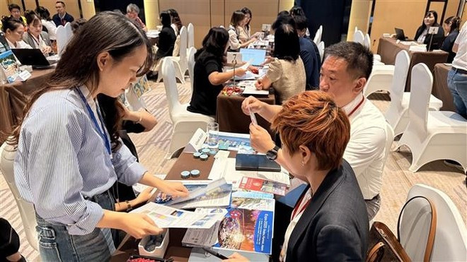 Empresas turoperadoras de Vietnam y Japón intercambian información (Foto: VNA) Empresas turoperadoras de Vietnam y Japón intercambian información (Foto: VNA)