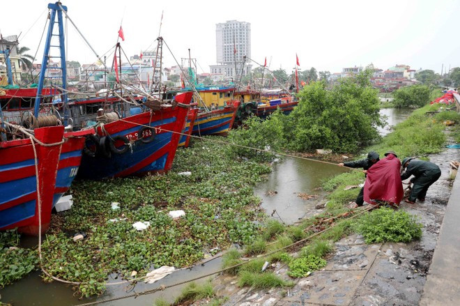 Los barcos y balsas se han trasladado a lugares seguros (Foto: VNA) Los barcos y balsas se han trasladado a lugares seguros (Foto: VNA)