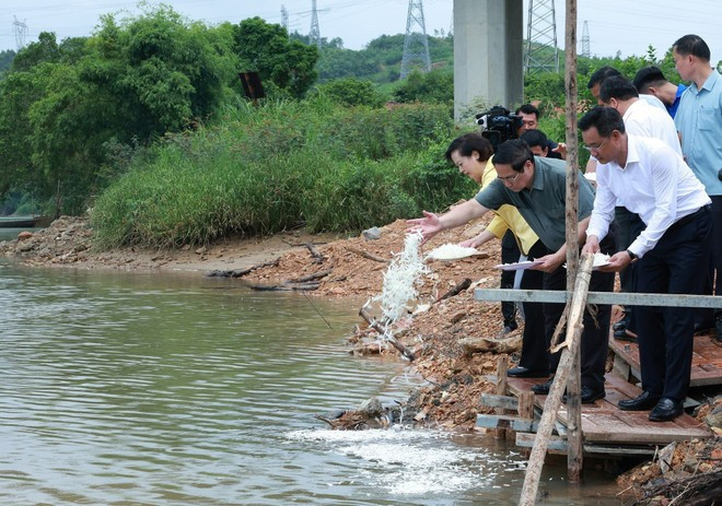 El primer ministro Pham Minh Chinh visita la terminal de ferry de Long Dai en la comuna de Truong Ninh. (Foto: VNA) El primer ministro Pham Minh Chinh visita la terminal de ferry de Long Dai en la comuna de Truong Ninh. (Foto: VNA)