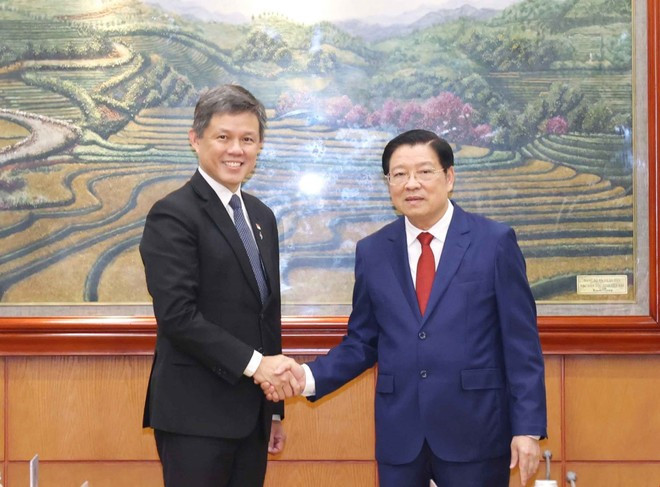 El miembro del Buró Político, secretario del Comité Central del Partido Comunista de Vietnam y jefe de su Comisión de Asuntos Internos, Phan Dinh Trac (derecha) y Chan Chun Sing, vicesecretario general del Partido de Acción Popular de Singapur (Foto: VNA) El miembro del Buró Político, secretario del Comité Central del Partido Comunista de Vietnam y jefe de su Comisión de Asuntos Internos, Phan Dinh Trac (derecha) y Chan Chun Sing, vicesecretario general del Partido de Acción Popular de Singapur (Foto: VNA)