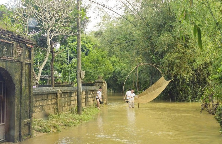 Las persistentes inundaciones han causado muchas dificultades en la vida y las actividades de los habitantes del sur de la provincia de Quang Tri. Las persistentes inundaciones han causado muchas dificultades en la vida y las actividades de los habitantes del sur de la provincia de Quang Tri.