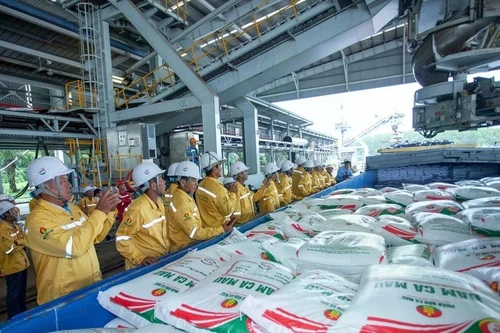 Empresa vietnamita exporta con éxito 40 mil toneladas de fertilizantes a Estados Unidos (Foto: Petrovietnam)