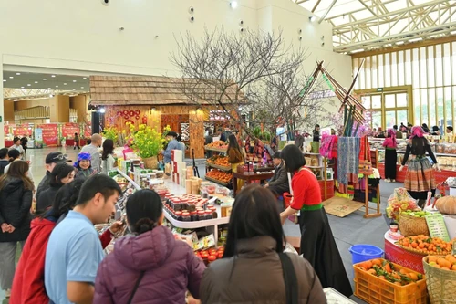 Feria de Primavera en Hanói refuerza comercio y cultura
