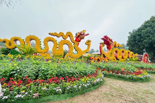 [Foto] Singular calle floral en Ciudadela Imperial de Thang Long en ocasión del Tet