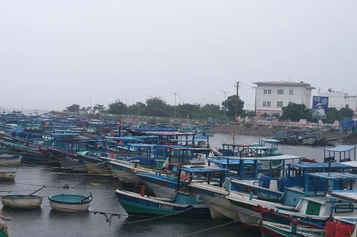 La provincia de Dak Lak cuenta actualmente con dos mil 575 embarcaciones pesqueras registradas en el sistema nacional de bases de datos pesqueras. (Foto: nongnghiepmoitruong.vn)