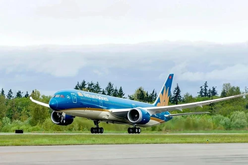 Avión de Vietnam Airlines regresa de emergencia para salvar a pasajera española. (Foto: VNA)