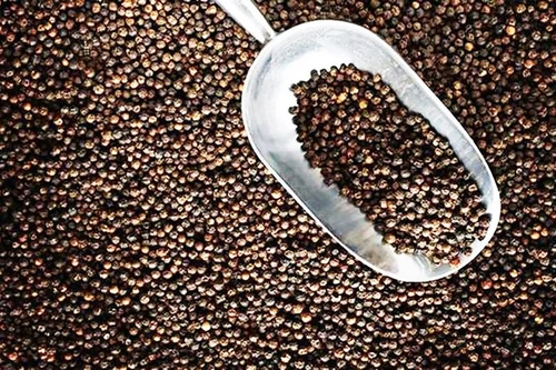 Foto ilustrada (Fuente: VNA)