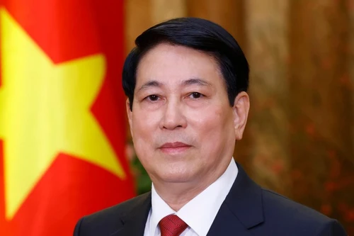El presidente de Vietnam, Luong Cuong. (Foto: VNA)
