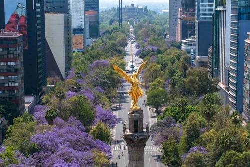 Paseo de la Reforma en Ciudad de México. (Foto: XINHUA)