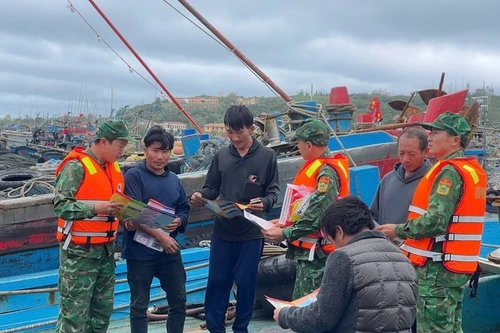 Campaña en Bach Long Vi refuerza lucha contra pesca ilegal en Vietnam