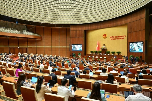 Parlamento vietnamita considera inversión del Aeropuerto Internacional Gia Binh