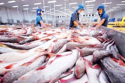 Los productos pesqueros son uno de los principales rubros de exportación de Vietnam hacia Brasil. (Foto: VGP)