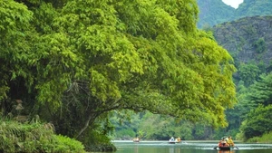 Belleza de Trang An. (Fotografía: VNA)
