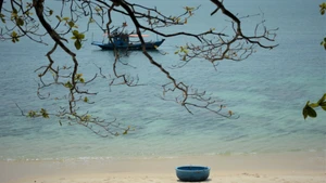 Belleza salvaje de la isla de Son Cha en Da Nang con gran potencial para el ecoturismo