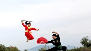 Protegen y promueven las artes marciales tradicionales de Binh Dinh. (Foto: baovanhoa.vn)