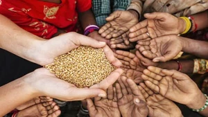 Inquietudes ante la inseguridad alimentaria en África