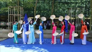 Actuación de las integrantes del club vietnamita de herencia Ao Dai en Bélgica (Foto: VNA)