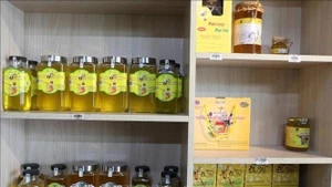 Miel de flores de menta, un producto preciado de la meseta rocosa de Dong Van. (Foto: VNA)