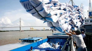 Carga y descarga de arroz para exportación en el puerto de Saigón. (Foto: VNA)