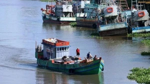 Un barco pesquero en Ben Tre. (Foto: VNA)