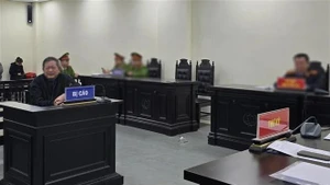 Tran Dinh Trien en un juicio. (Foto: VNA)