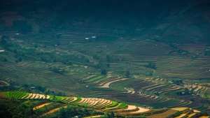Escena cautivadora en Mu Cang Chai durante la temporada de lluvias