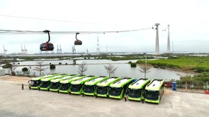 El transporte eléctrico gratuito para turistas en la isla de Cat Ba se despliega a partir del 18 de abril. (Fotografía: Nhan Dan)