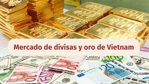 Infografía: Mercado de divisas y oro de Vietnam - 29 de mayo de 2025