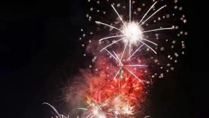 Actuación del equipo de Da Nang en el Festival Internacional de Fuegos Artificiales de Da Nang de 2024. (Fotografía: VNA)