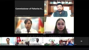 Participantes en el seminario en línea. (Foto capturada de pantalla: VNA)