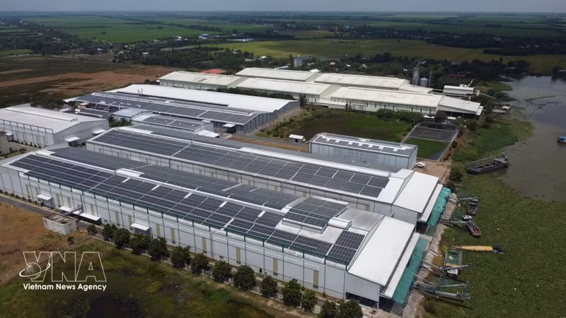 Una empresa arrocera de la comuna de Truong Xuan, provincia de Dong Thap, invierte en un sistema de energía solar instalado en la cubierta de su nave industrial para abastecer sus actividades productivas. )Foto: VNA)