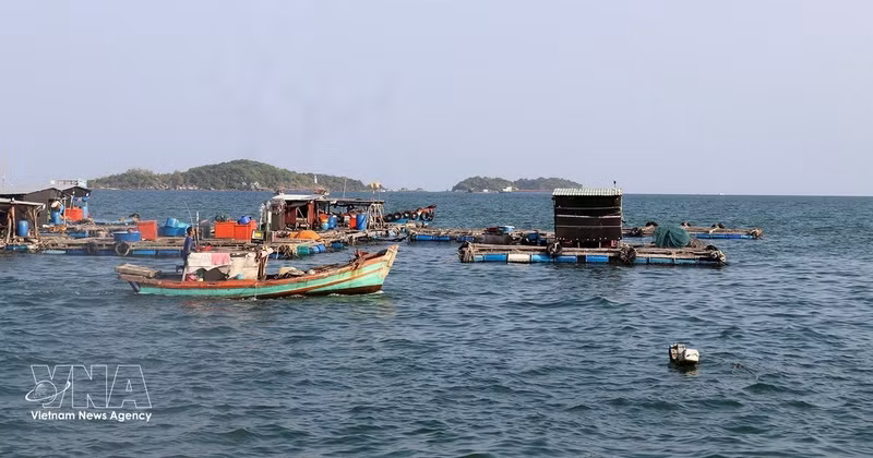 Zona del puerto pesquero de An Thoi. (Foto: VNA)