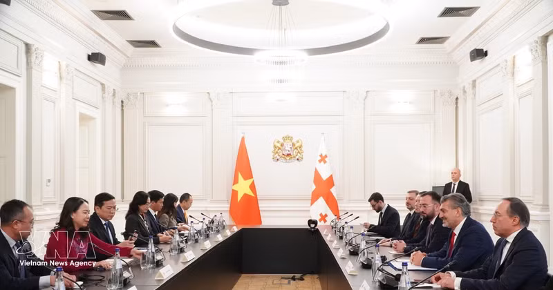 La vicepresidenta de Vietnam, Vo Thi Anh Xuan, se reúne con el presidente de Georgia, Mikheil Kavelashvili. (Foto: VNA)