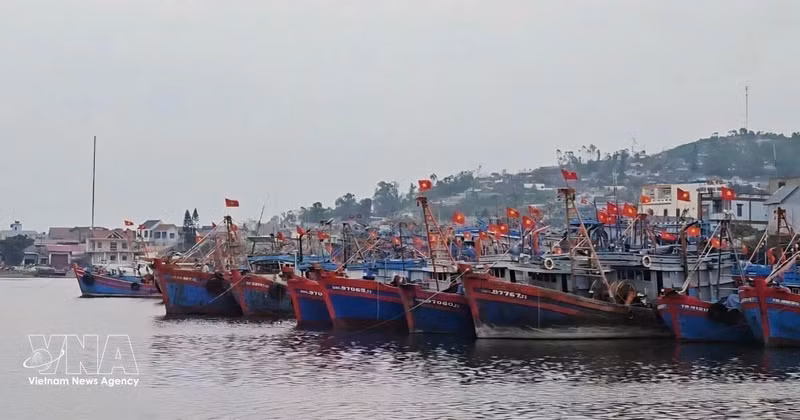 Una vista del puerto pesquero de Lach Bang, Thanh Hoa. (Foto: VNA)