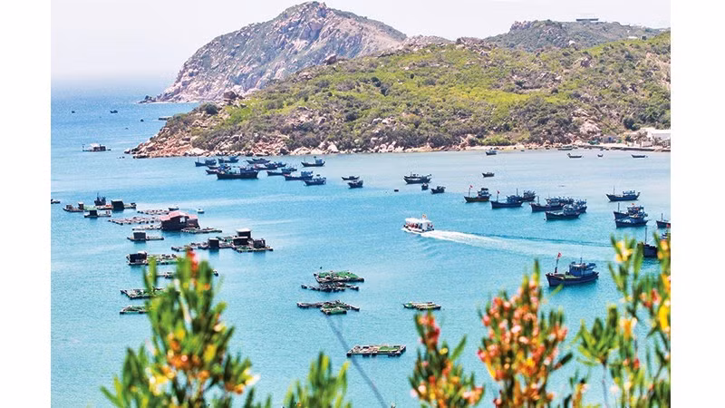 Los recorridos en lancha por la bahía son una de las experiencias preferidas por los visitantes.