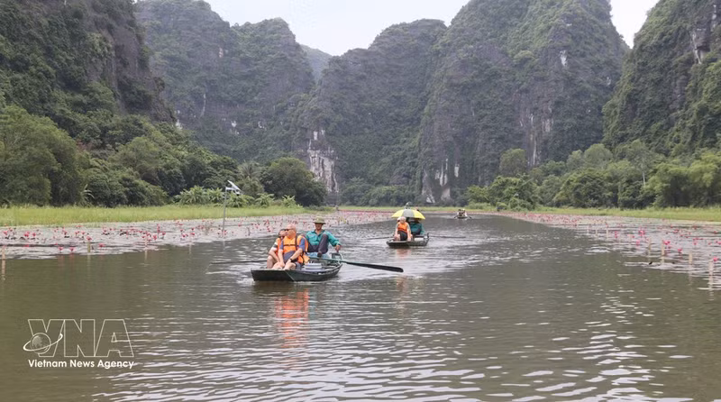 Los turistas navegan por el río para admirar los nenúfares y disfrutar de momentos de tranquilidad. (Foto: VNA)