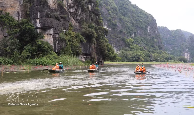 Los turistas navegan por el río para admirar los nenúfares y disfrutar de momentos de tranquilidad. (Foto: VNA)