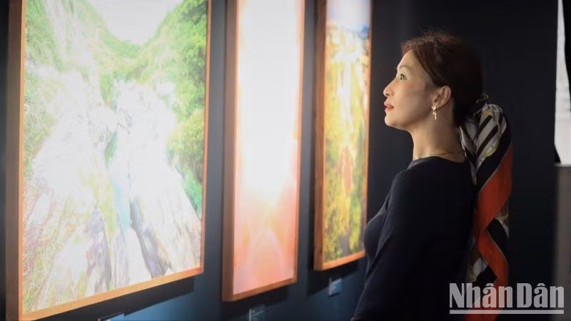 Los invitados contemplan las obras expuestas en la muestra. (Foto: VU TAN)