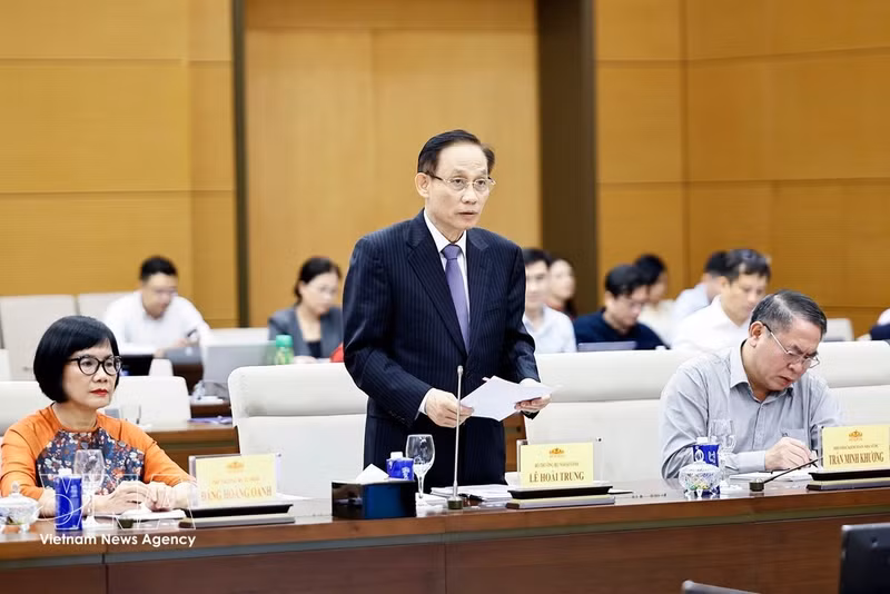 El ministro de Relaciones Exteriores, Le Hoai Trung, interviene en la reunión. (Foto: VNA)