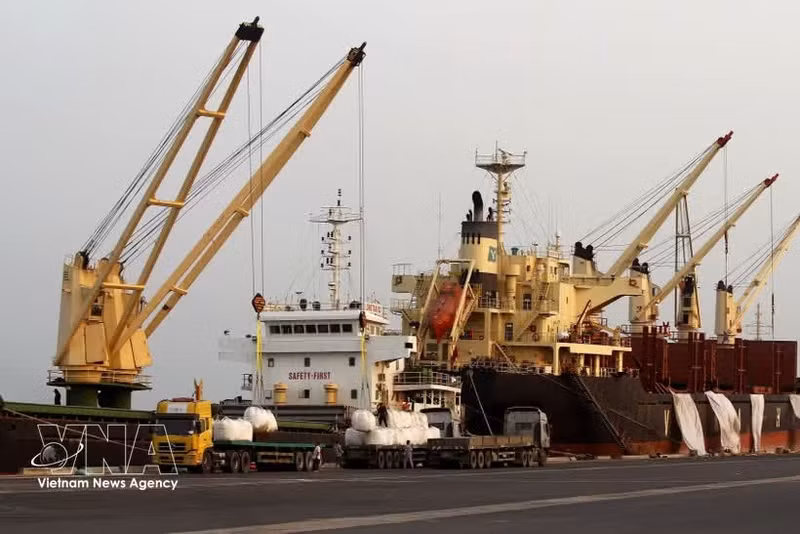 En el puerto Saigón-Tan Thuan, Ciudad Ho Chi Minh. (Foto: VNA)