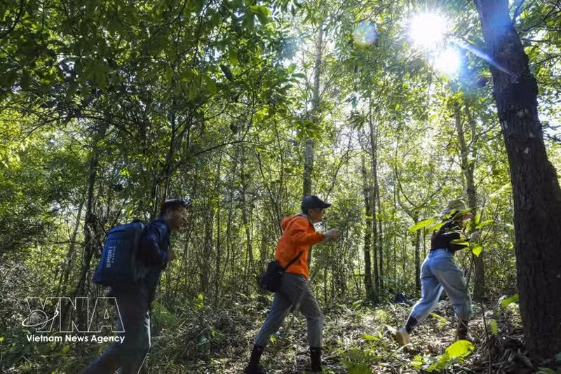 Los turistas exploran Pu To Co con mochilas y bastones de trekking. (Foto: VNA)