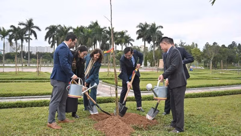 Delegados plantan árboles samanea en el Parque de la Paz. (Foto: Embajada de Colombia en Vietnam)
