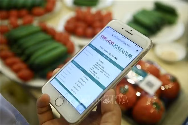 Cuando un usuario escanea el código QR del producto, su teléfono mostrará una notificación para recuperar información sobre el origen del producto. (Foto: VNA)